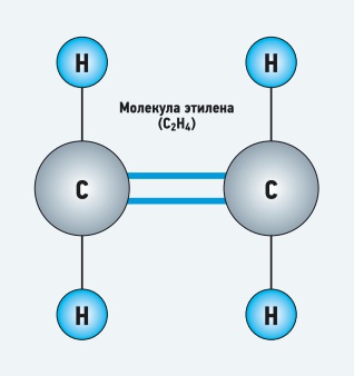 Молекула этилена. Формула молекулы этилена. Молекула этилена плоская. Рисунок молекулы этилена.